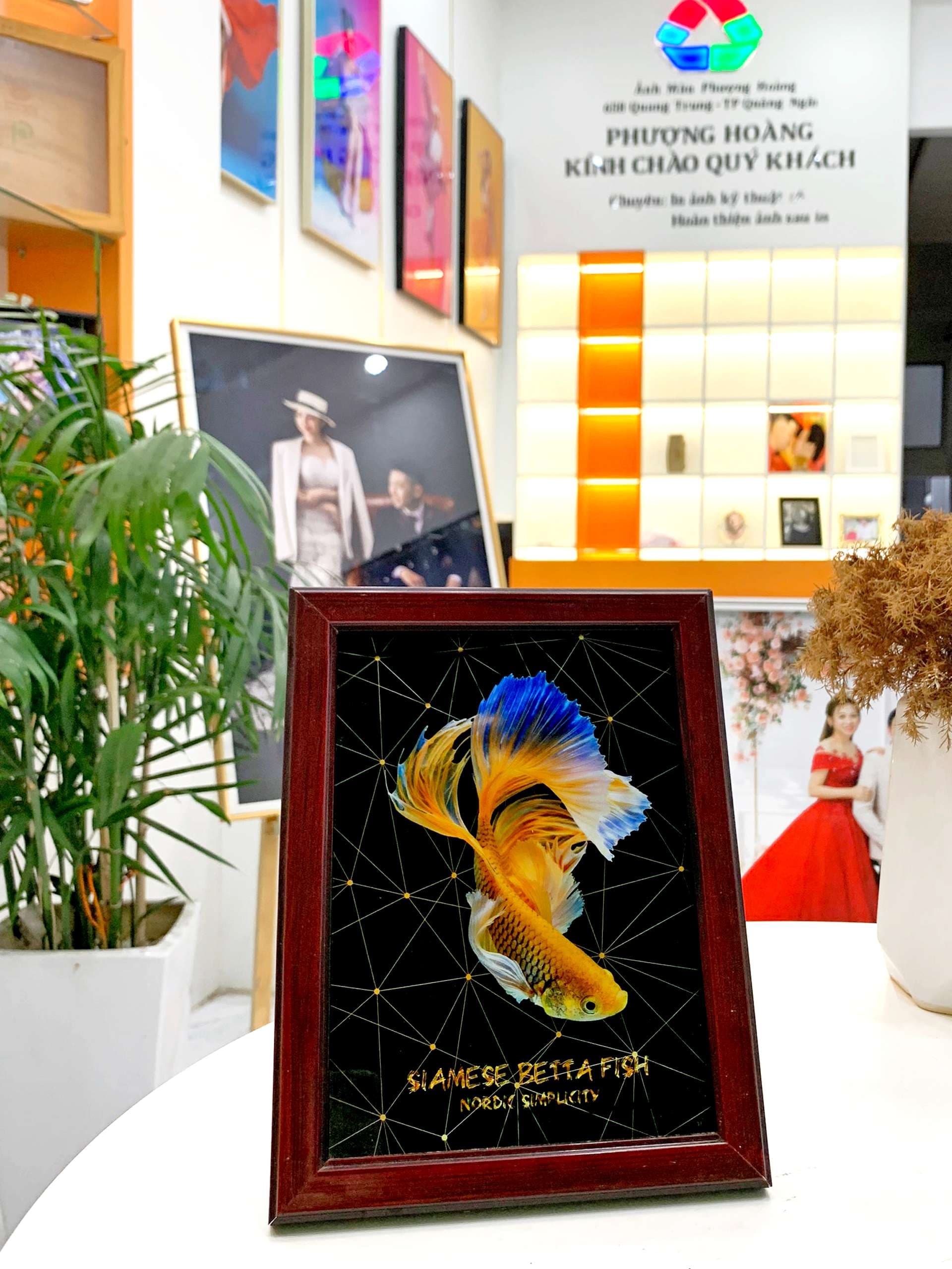 ảnh mica khung gỗ để bàn 4.jpg